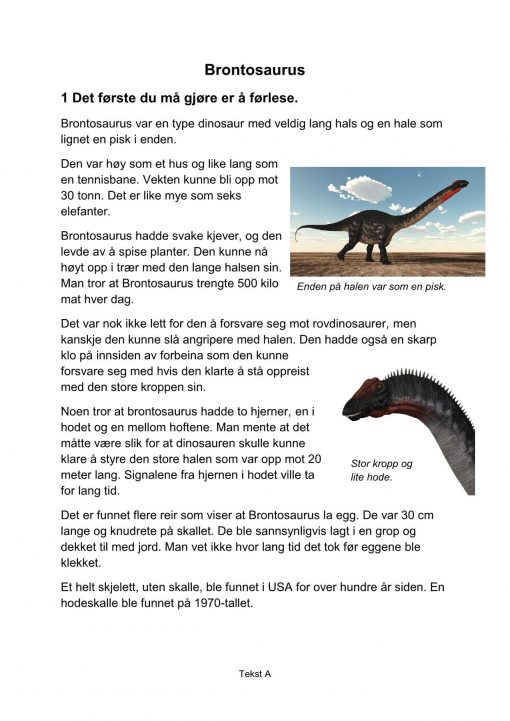 Lesestrategier og lesetrening i fagtekster - Brontosaurus, A, Hefte 2, BM_1