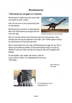 Lesestrategier og lesetrening i fagtekster - Brontosaurus, B, Hefte 2, BM_1