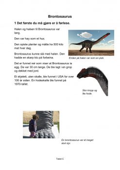 Lesestrategier og lesetrening i fagtekster - Brontosaurus, C, Hefte 2, BM_1