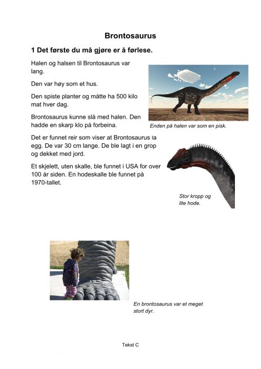 Lesestrategier og lesetrening i fagtekster - Brontosaurus, C, Hefte 2, BM_1