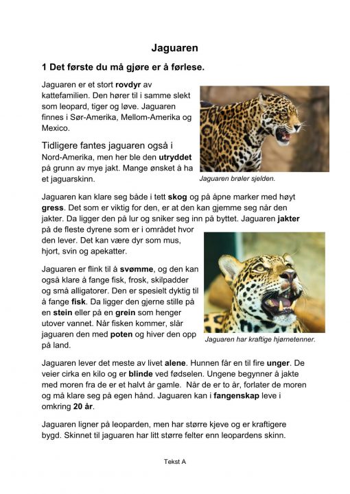 Lesestrategier og lesetrening i fagtekster - Jaguaren, A, Hefte 1, BM_1