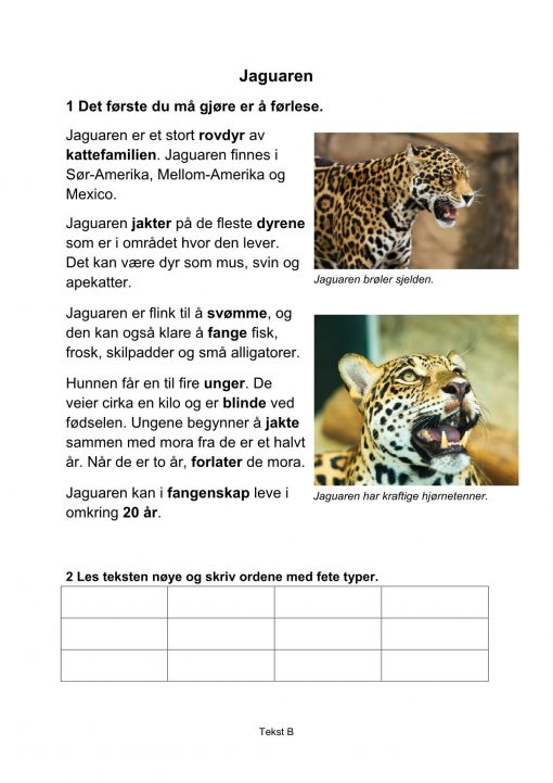 Lesestrategier og lesetrening i fagtekster - Jaguaren, B, Hefte 1, BM_1