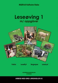 Leseøving 1 - Nynorsk
