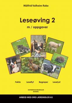 Leseøving 2 - Bokmål