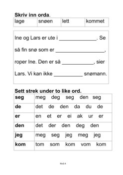 Alle må lese mye - Hefte 5 - Tekst 7. I snøen. Nivå A_2