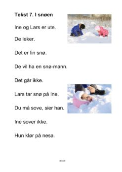 Alle må lese mye - Hefte 5 - Tekst 7. I snøen. Nivå C_1